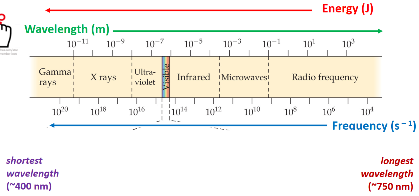 <p>Wavelength and frequency are inversely proportionate. Just know the order and relationships, but not the numbers.</p>