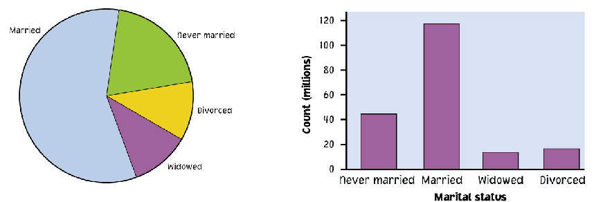 <ul><li><p><strong>Taartdiagram</strong>: percentage/proportie</p></li><li><p><strong>Staartdiagram</strong>: telling/frequentie of percentage/proportie</p></li></ul><p></p>