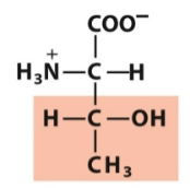 <p>Polar, neutral</p>