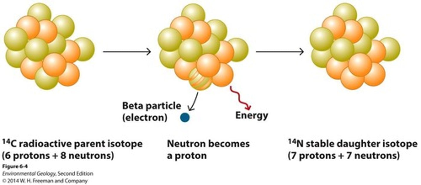 <p>By measuring the remaining percentage of carbon-14 and comparing it to its half-life.</p>