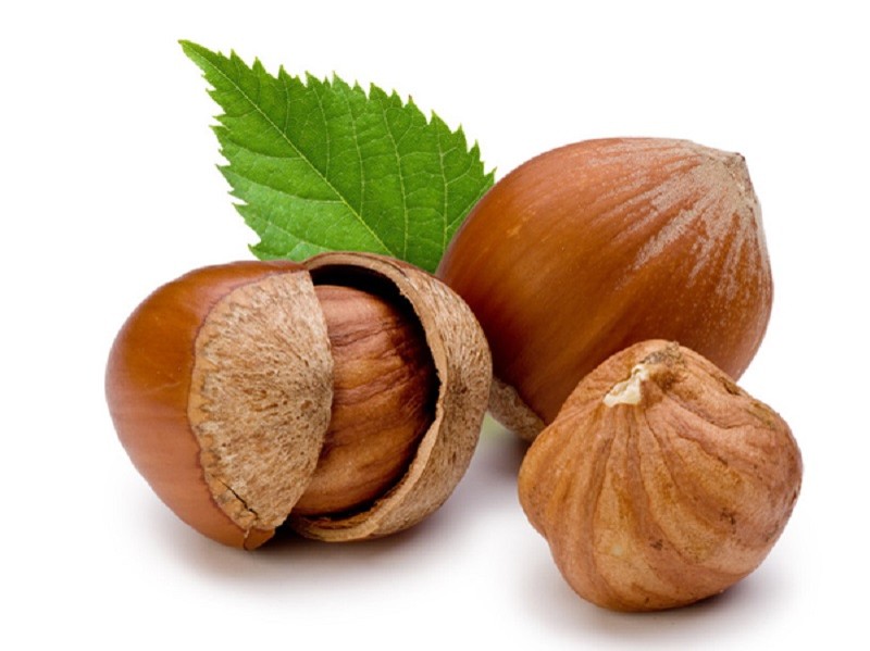 <p>фундук, лесной орех</p>