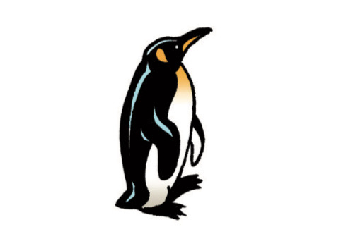 <p>a penguin</p>