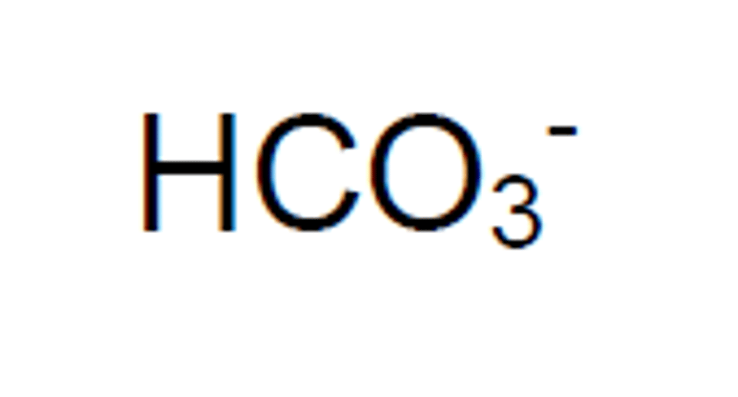 <p>HCO_3 -</p>