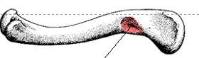 <p>What is this an example of?</p>