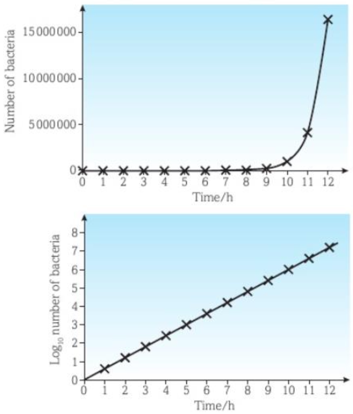 <ul><li><p>top graph shows bacterial no. against time</p></li></ul><p></p><ul><li><p>as the scale is so large on y-axis it’s difficult to see bacterial growth</p></li></ul><p></p><ul><li><p>when no. are converted to <mark data-color="green" style="background-color: green; color: inherit">logarithms</mark> (log10) a clear trend of growth can be seen and represented</p></li></ul><p></p><ul><li><p>as only y-axis values have been converted we call this a <mark data-color="green" style="background-color: green; color: inherit">semi-logarithmic graph</mark></p><ul><li><p>means each no. on y-axis represents a <mark data-color="green" style="background-color: green; color: inherit">power of 10 (10^n)</mark> (e.g. 1 = 10^1 or 10)</p></li></ul></li></ul>