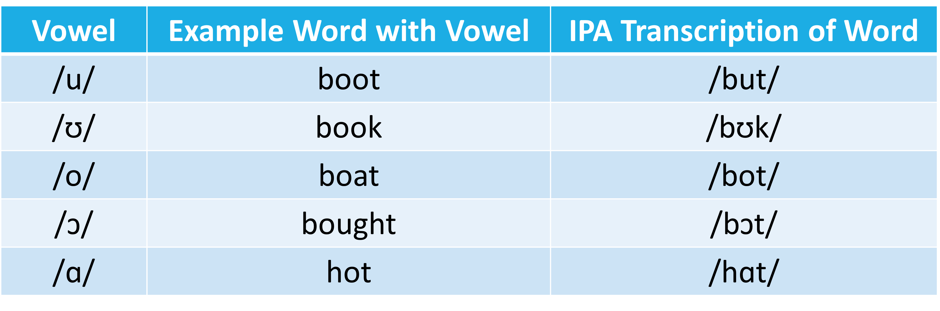 <p>/<span>ɔ/</span></p>