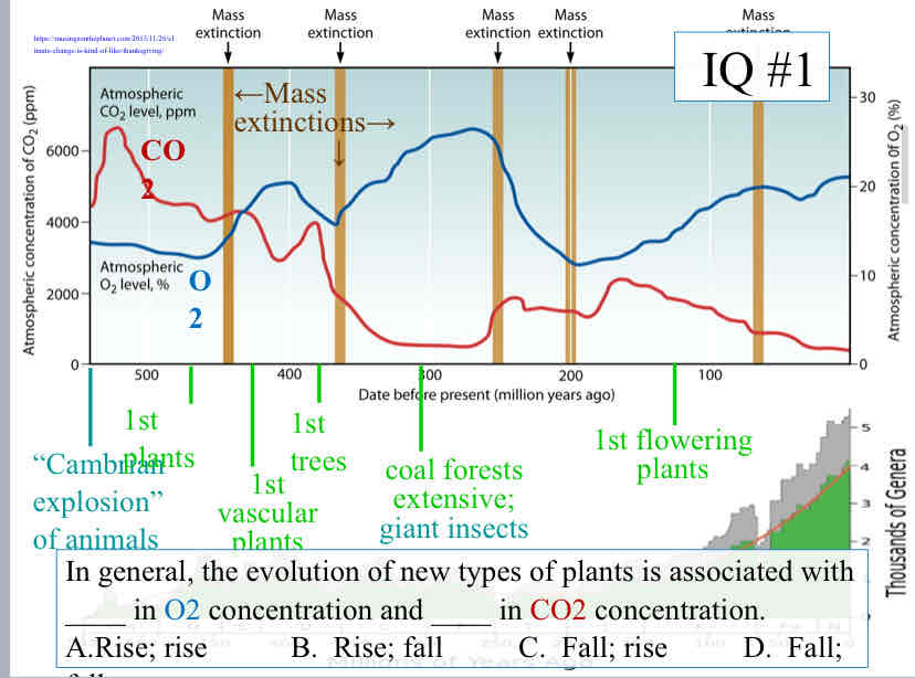 <p>Practice Question (Life’s Origins) - In general, the evolution of new types of plants is associated with ____ in O2 concentration and ____ in CO2 concentration</p>