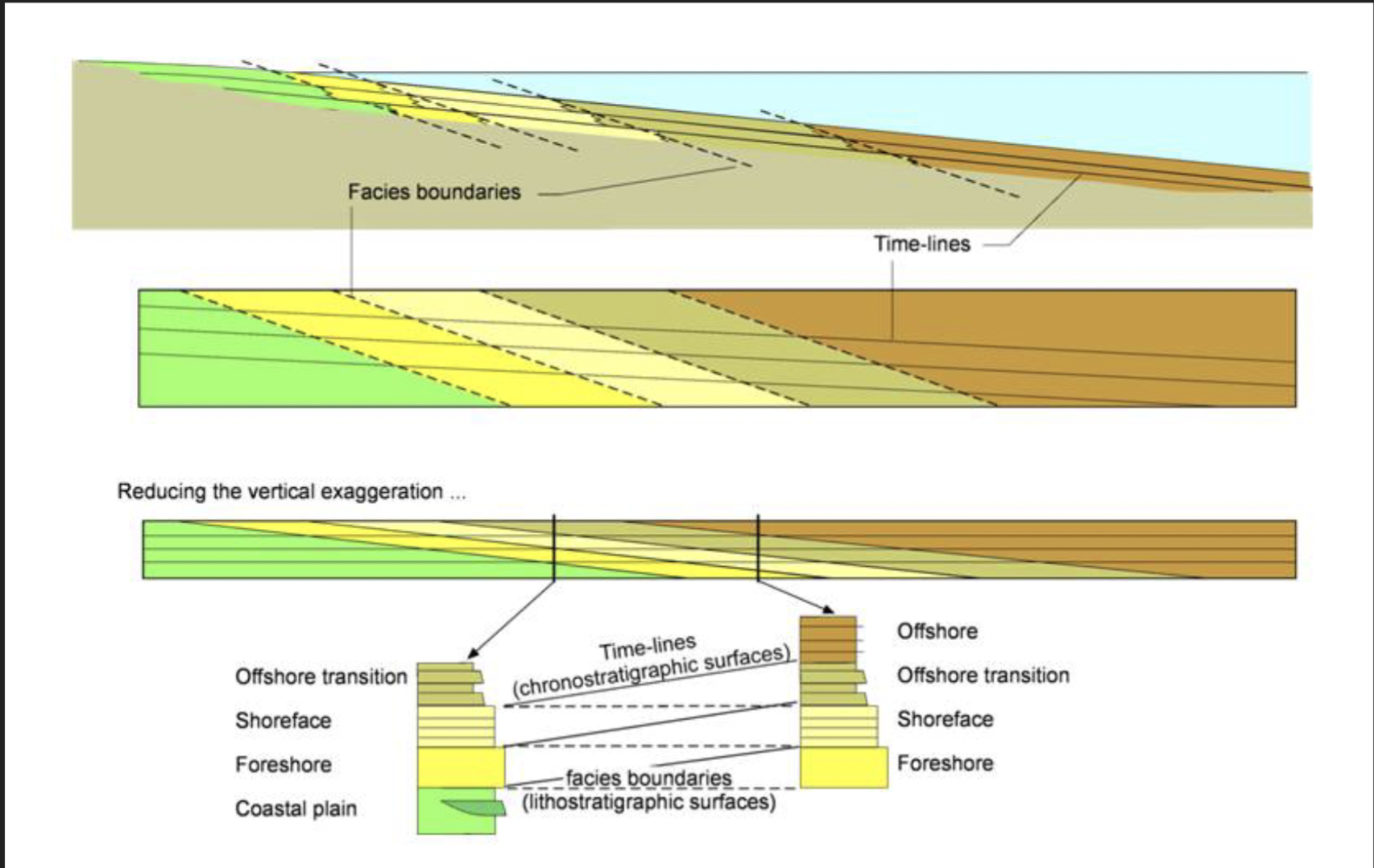<p>Linking units that were deposited at the same time (regardless of lithology)</p><ul><li><p>Foundation of sequence stratigraphy</p></li></ul>