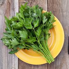 <p>Parsley Italian</p>