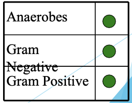 <ul><li><p>very broad spectrum w/ G+, G-, anaerobic coverage</p></li><li><p>more resistant to hydrolysis from B-lactamases</p></li><li><p>uses: nosocomial infection, meningitis, MDR G- infxn, extended B-lactamse spectrum</p></li><li><p>monitor: renal/hepatic fxn, CBC, anaphylaxis, seizures</p></li><li><p>-penem </p></li></ul><p></p>