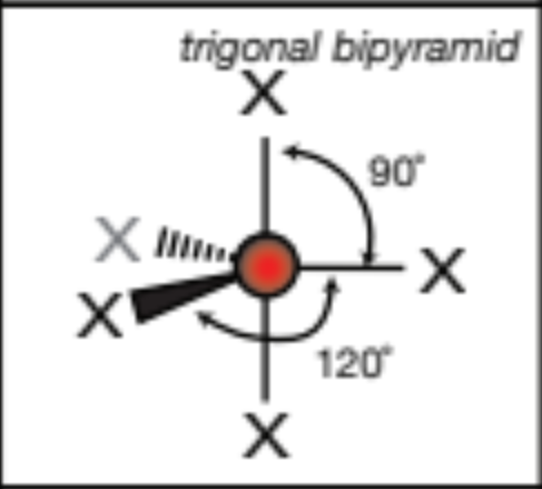 <p>trigonal bipyramid, 90 degrees between vertical axis, 120 degrees horizontal axis</p>