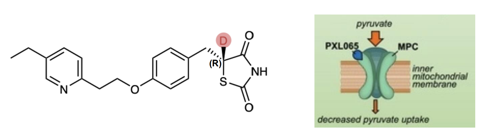 <p>Type-2 diabetes drug </p><p>Activity is due to the R-enantiomer, while S-enantiomer has shown weight gain and edema (swelling) side effects due to PPAR receptor binding </p><ul><li><p>PXL065 – deuterium stabilized R-enantiomer completed Phase II successfully as treatment for NASH (Nonalcoholic steatohepatitis) – no PPAR side effects </p></li><li><p>The deuterium substitution slows the rate of racemization in vivo, which is catalyzed by base removal of the proton/deuteron. </p></li><li><p>The difference in rate, (kH/kD), can be up to 10-fold In mice, admin of racemic pioglitazone gives 3:1 (S:R) after 5 days, while admin of PXL065 reverses that ratio to 2:1 (R:S) (R) Hep</p></li></ul><p></p>