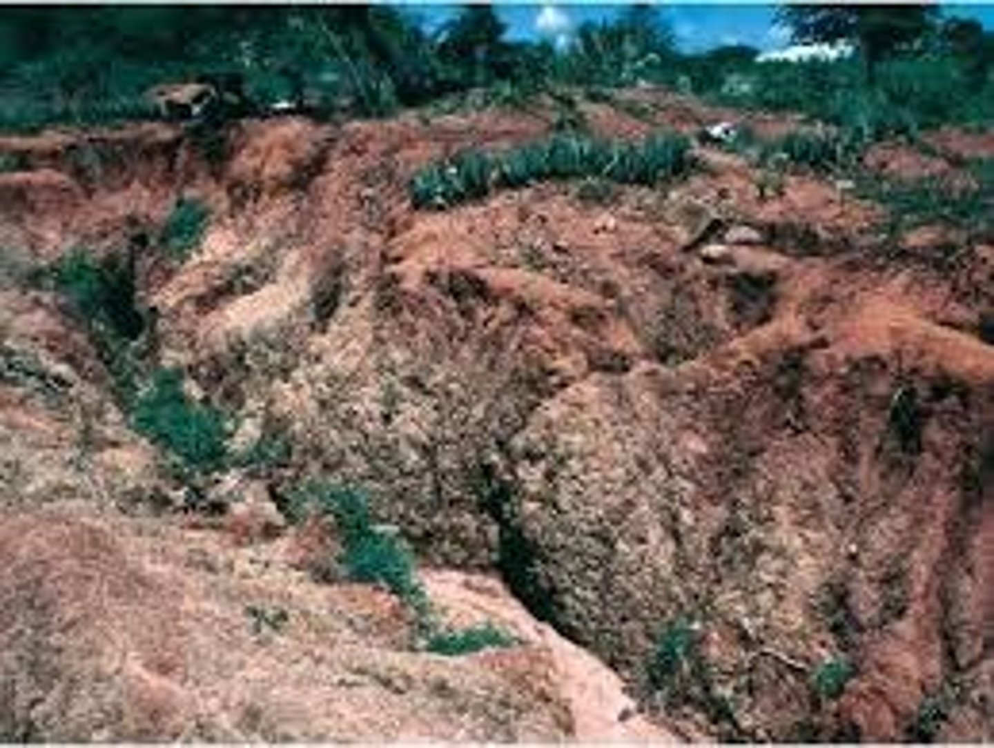 <p>is the process by which sediment are moved from one place to another</p>
