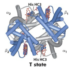 <p>> 30; 19</p>
