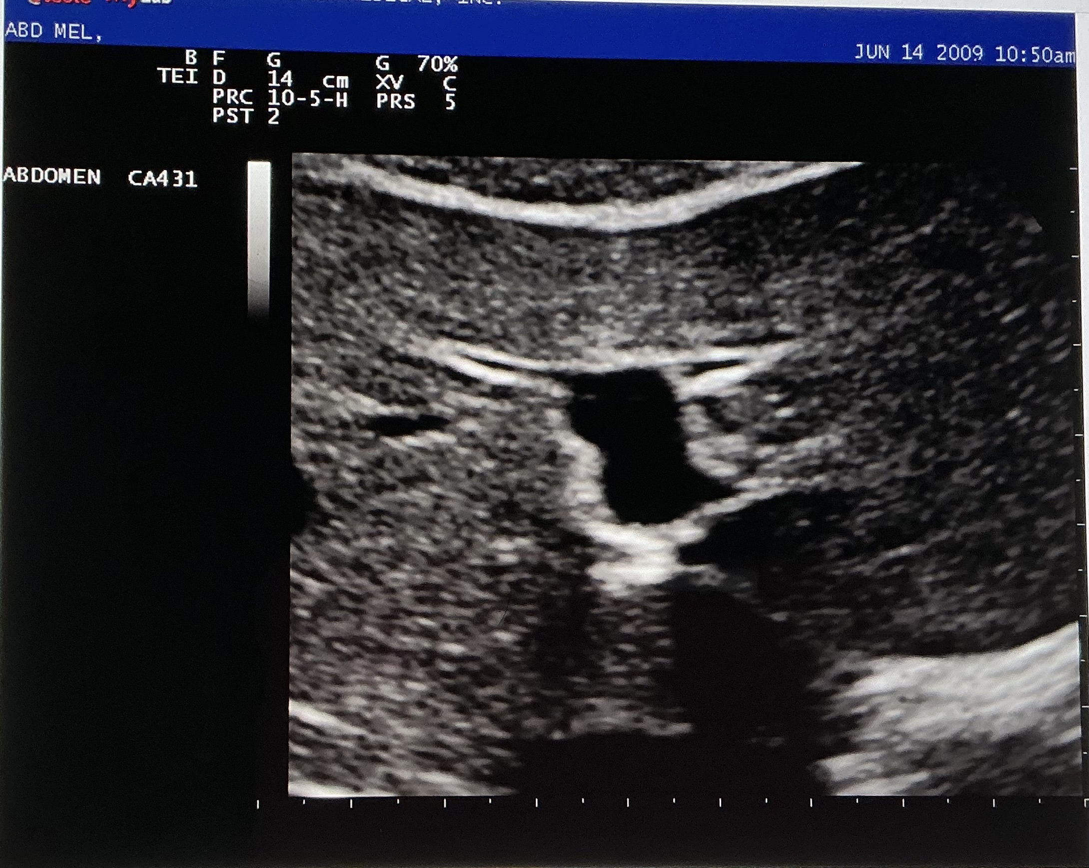 <p>What branch of the MPV is shown in the image?</p>