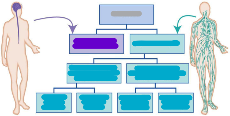 <p>Diagram </p><ul><li><p>Name of system, purpose/location </p></li></ul>
