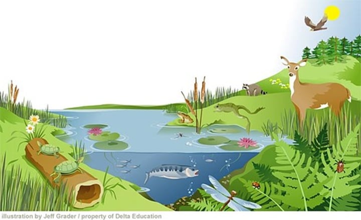 <p>community of organisms in an area and physical factors with which those organisms interact</p>