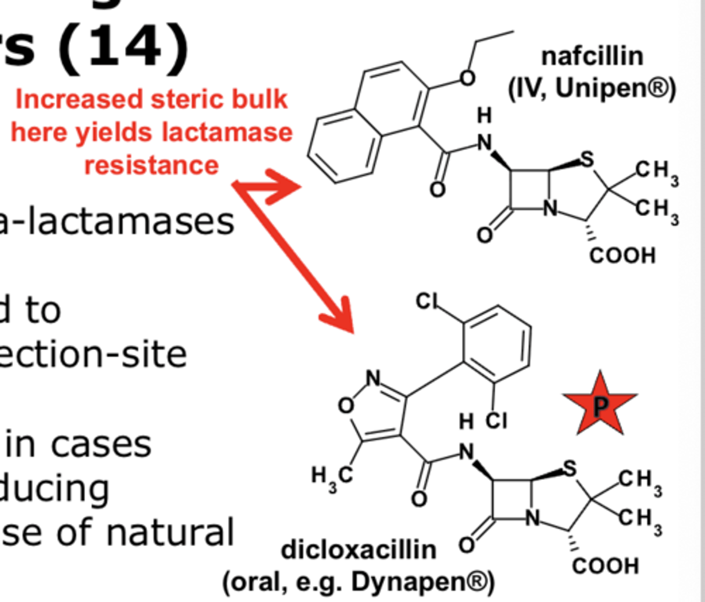 <p>increased steric bulk</p>