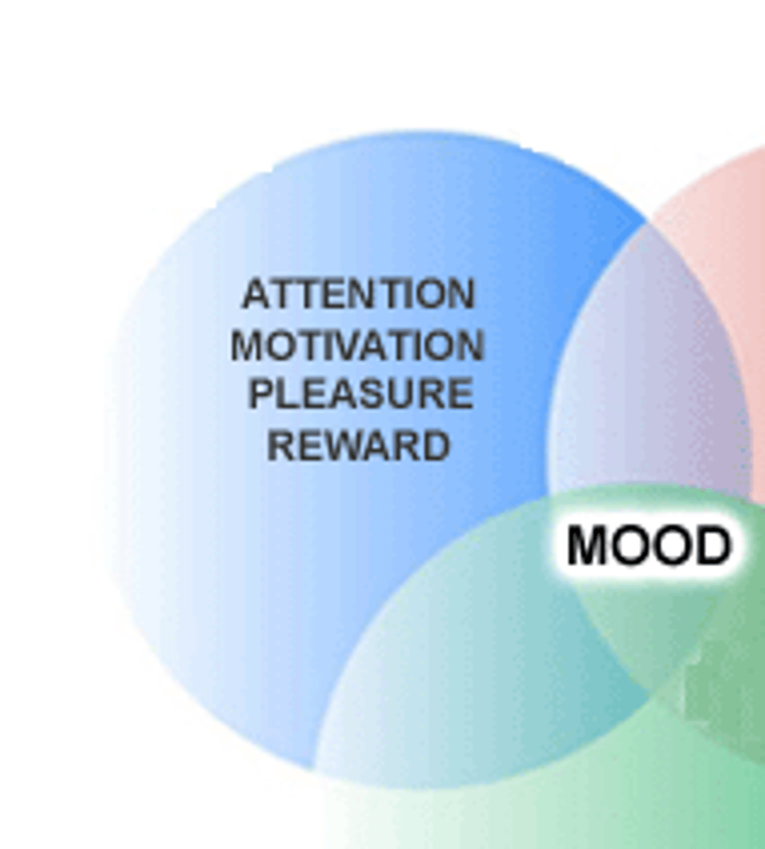<p>neurotransmitter that regulates brain arousal and other functions like mood, memory, hunger, and sleep</p>