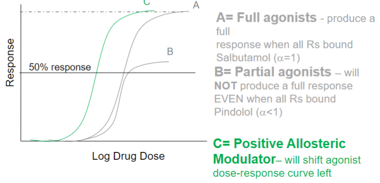 <ul><li><p>enhances effect of endogenous ligand</p></li><li><p>GENERALLY binds at site distinct from endogenous ligand binding site</p></li><li><p>will shift agonist dose-response curve left (less agonist required for response)</p></li><li><p>ex: Diazepam</p></li></ul>