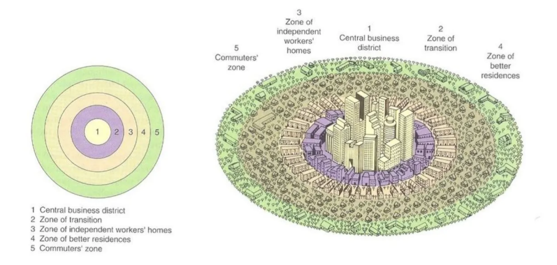 <p>a model of a city’s internal organization developed by E.W Burgess organized on 5 _____ rings that model the arrangement of different residential zones radiating outward from a central business district</p><p></p>