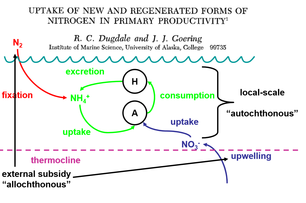 <p>Primary production based on nutrients brought into the ecosystem by processes such as upwelling </p>