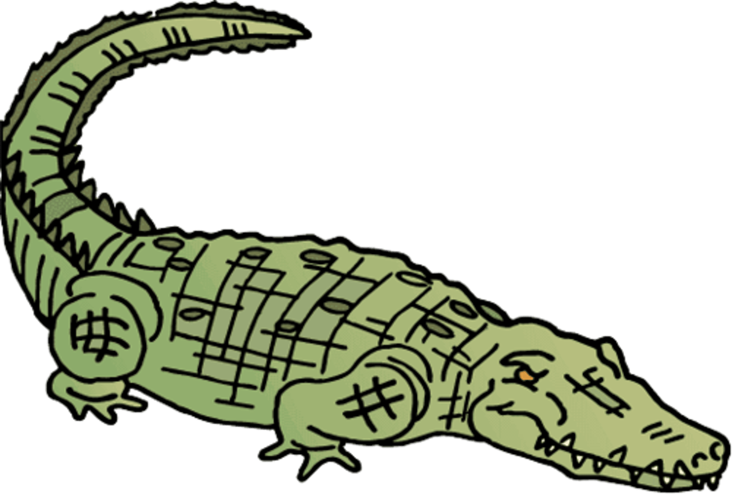 <p>crocodile</p>