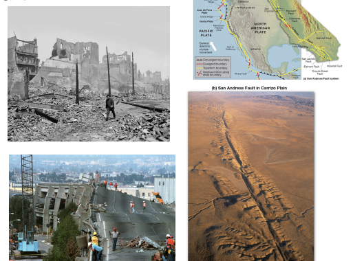 <p><strong>san andreas fault</strong></p>