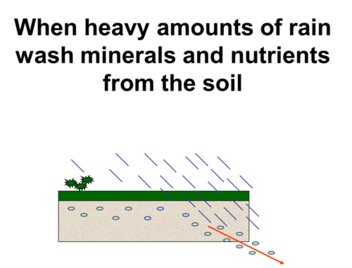 <p>Minerals dissolved in water moving through the soil</p>