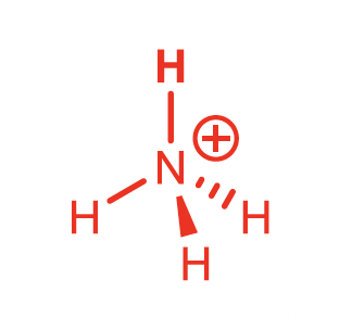 <p>Ammonium</p>