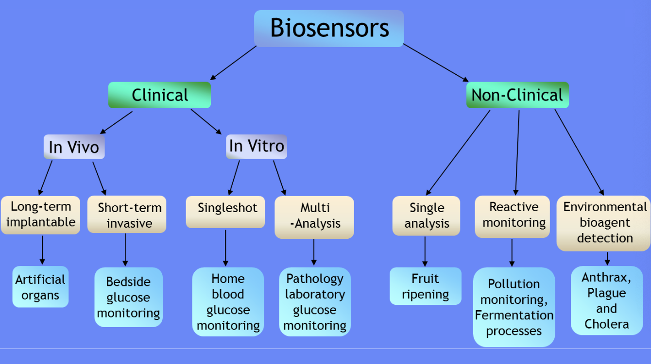<ul><li><p><strong>Clinical biosensors</strong>: Medical applications for patient diagnostics and monitoring</p></li><li><p><strong>In Vivo</strong> (inside the body)</p><ul><li><p>Long-term implantable: Artificial organs</p></li><li><p>Short-term invasive: Bedside glucose monitoring</p></li></ul></li><li><p><strong>In Vitro</strong> (outside the body/lab)</p><ul><li><p>Singleshot: Home blood glucose monitoring</p></li><li><p>Multi-analysis: Pathology laboratory glucose monitoring</p></li></ul></li></ul><p></p><ul><li><p><strong>Non-clinical biosensors</strong>: Applications outside medical settings</p><ul><li><p><strong>Single analysis</strong>: Fruit ripening sensors</p></li><li><p><strong>Reactive monitoring</strong>: Pollution monitoring, fermentation processes</p></li><li><p><strong>Environmental bioagent detection</strong>: Detection of pathogens like anthrax, plague, and cholera</p><p></p></li></ul></li></ul><p></p>