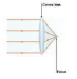 <p>Hyperopia, can be corrected with a converging/convex corrective lens (+). </p>