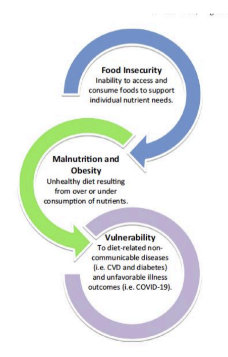 <ul><li><p>Obesity, undernutrition, climate change, vulnerability</p></li><li><p>Affects business models, food systems, civil society involvement, national and international governance </p></li></ul><p></p>
