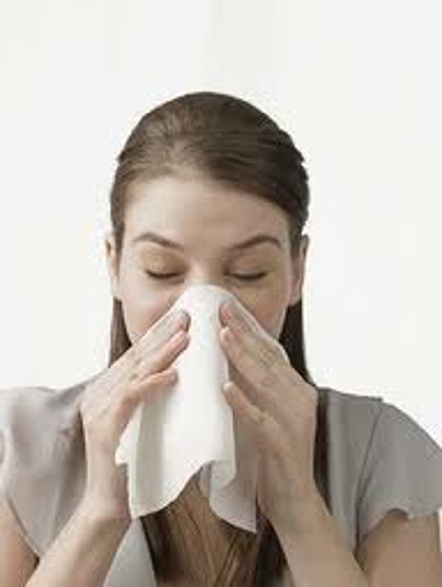 <p>sonarse la nariz</p>