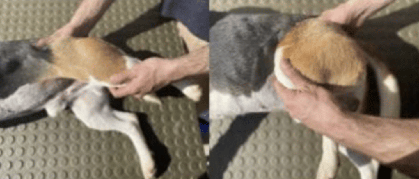 <p>what is happening here ?</p>