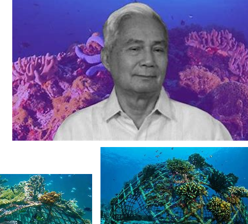 <p>Invented artificial coral reefs that is used for fisheries in Southeast Asia</p>