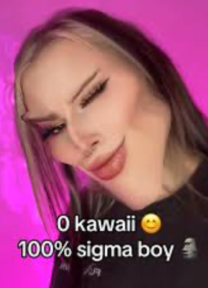 <p>Sigma boi</p>