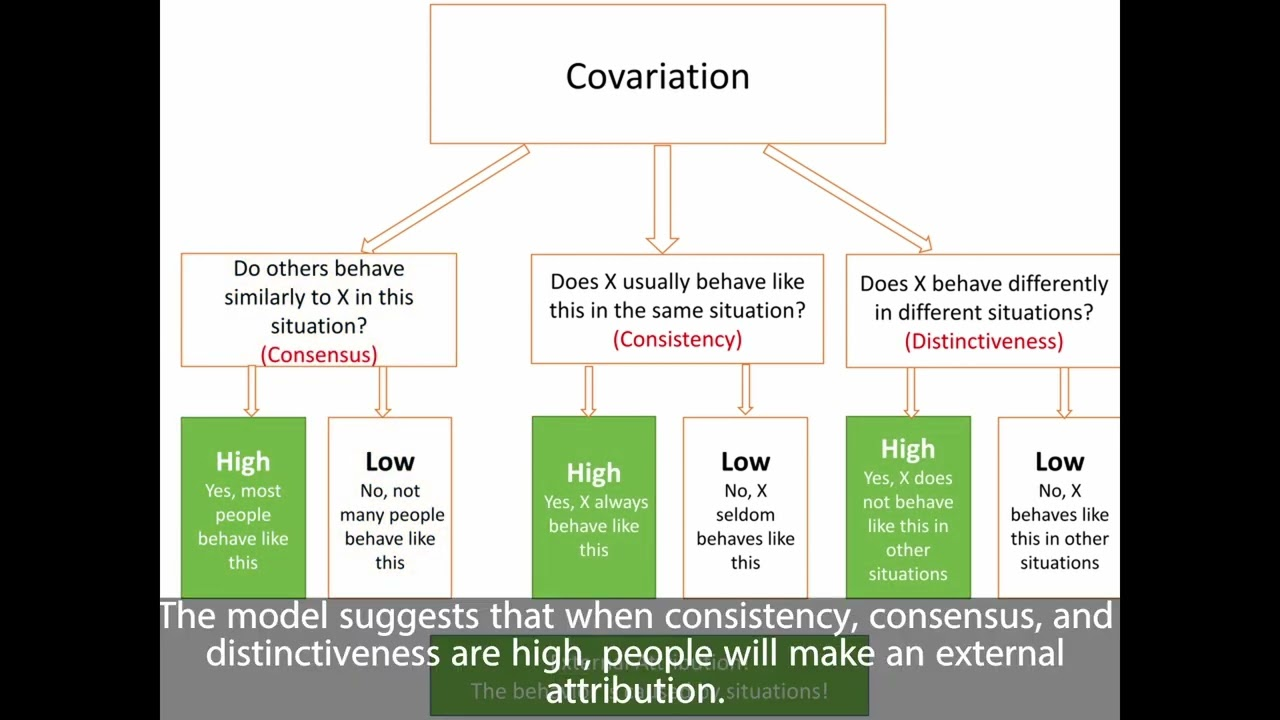 <p>(1)<span style="font-family: Times New Roman">&nbsp;&nbsp; </span><strong>consistency information: </strong>the extent to which the behavior between one actor and one stimulus is the same across <u>time and circumstances</u></p><p>(a)<span style="font-family: Times New Roman">&nbsp;&nbsp; </span>“does X usually behave this way in the same context?”</p><p>(b)<span style="font-family: Times New Roman">&nbsp; </span>yes, X always behave like this in this context= high consistency</p><p>(c)<span style="font-family: Times New Roman">&nbsp;&nbsp; </span>no,X seldom behaves like this in this context = low consistency</p><p></p><p>ex: a stranger raves about a film.</p><ul><li><p>the stranger always raves about the film every week= high consistency</p></li><li><p>the stranger seldom raves about the film = low consistency</p></li></ul>