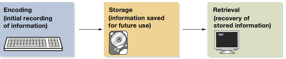 <p>encoding, storage, retreival</p>