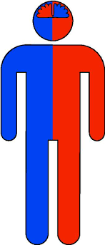 <p><strong><em><span style="font-family: Arial, sans-serif"><mark data-color="yellow">right brain controls the left</mark></span></em></strong><span style="font-family: Arial, sans-serif"><mark data-color="yellow"> side of the body</mark>, </span><strong><em><span style="font-family: Arial, sans-serif"><mark data-color="green">left brain controls the right side</mark></span></em></strong><span style="font-family: Arial, sans-serif"><mark data-color="green"> of the body</mark></span></p><ul><li><p><mark data-color="blue">connected by the </mark><strong><em><mark data-color="blue">corpus callosum</mark></em></strong></p></li><li><p>when cut, affected people become <mark data-color="blue">split-brain patients</mark></p><ul><li><p><span style="font-family: Arial, sans-serif"><mark data-color="red">physical function post-surgery is normal, but </mark></span><strong><em><span style="font-family: Arial, sans-serif"><mark data-color="red">orientation is permanently damaged</mark></span></em></strong></p></li><li><p><span style="font-family: Arial, sans-serif">split in self-awareness <mark data-color="purple">(right recognizes left and vice versa, but </mark></span><strong><em><span style="font-family: Arial, sans-serif"><mark data-color="purple">they can’t recognize themselves combined</mark></span></em></strong><span style="font-family: Arial, sans-serif"><mark data-color="purple">)</mark></span></p></li></ul></li></ul>