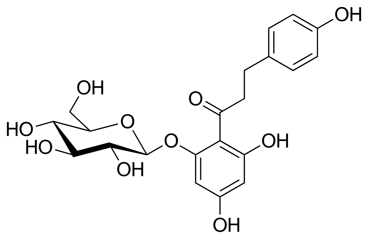 <p>Name the structure<br><br>pharmacophore w/glucose</p>