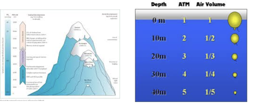 <ol><li><p><strong>HIGH</strong> altitudes → <mark data-color="red" style="background-color: red; color: inherit;">Partial pressure DECLINES</mark></p></li><li><p><strong>LOWER</strong> altitudes (under water)→ <mark data-color="green" style="background-color: green; color: inherit;">Partial pressure INCREASES significantly </mark></p></li></ol><p></p>