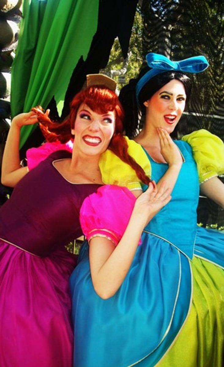 <p>the half-sister/stepsister</p>