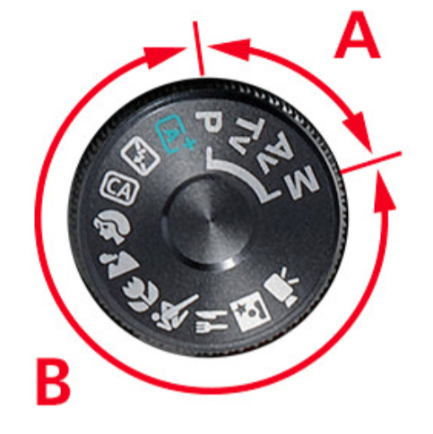 <p>B</p>
