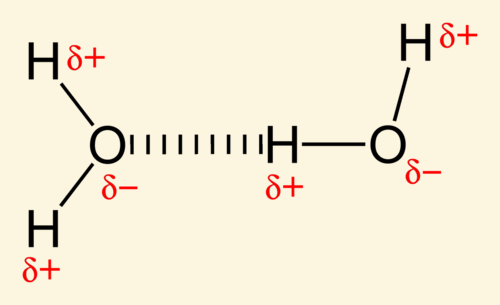 <p>O, N and F </p><p><span>O-H, N-H, F-H</span></p>
