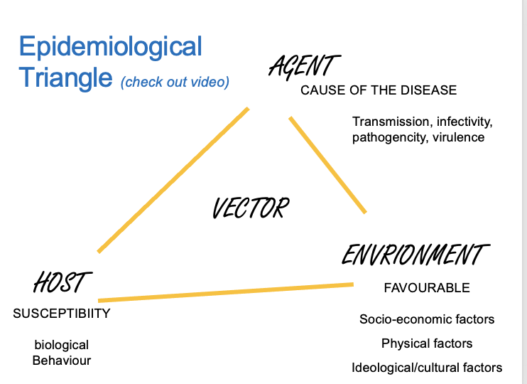 <p>A model used to understand the interaction between host, agent, and environment in disease occurrence.</p>