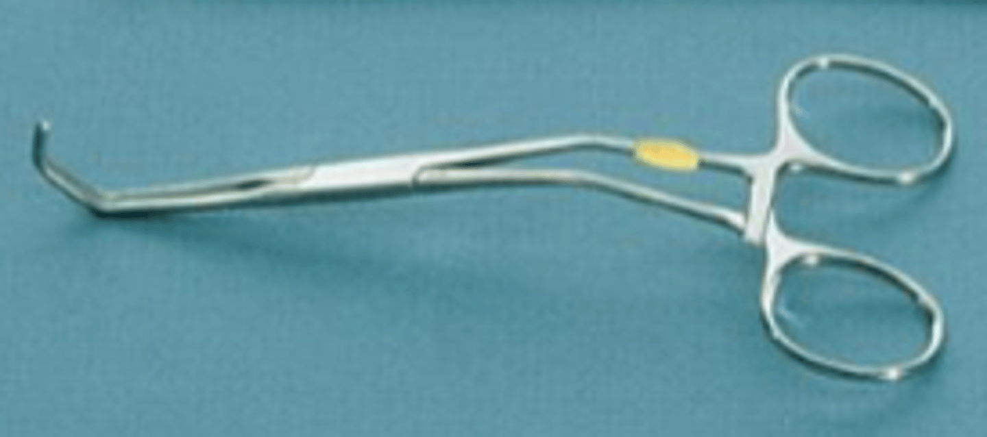 <p>What instrument is this?</p>