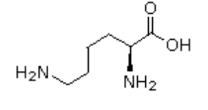 <p>Which amino acid is this (bond-line)?</p>