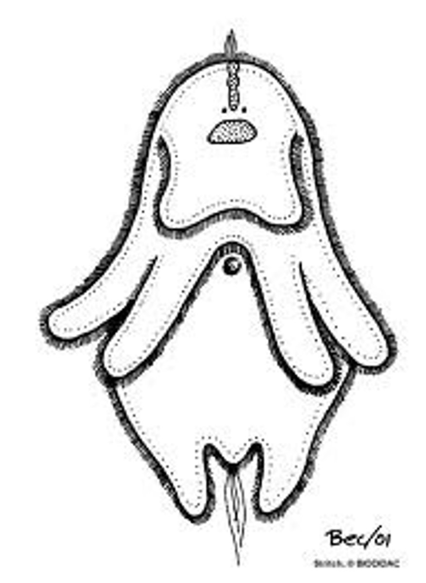 knowt flashcard image