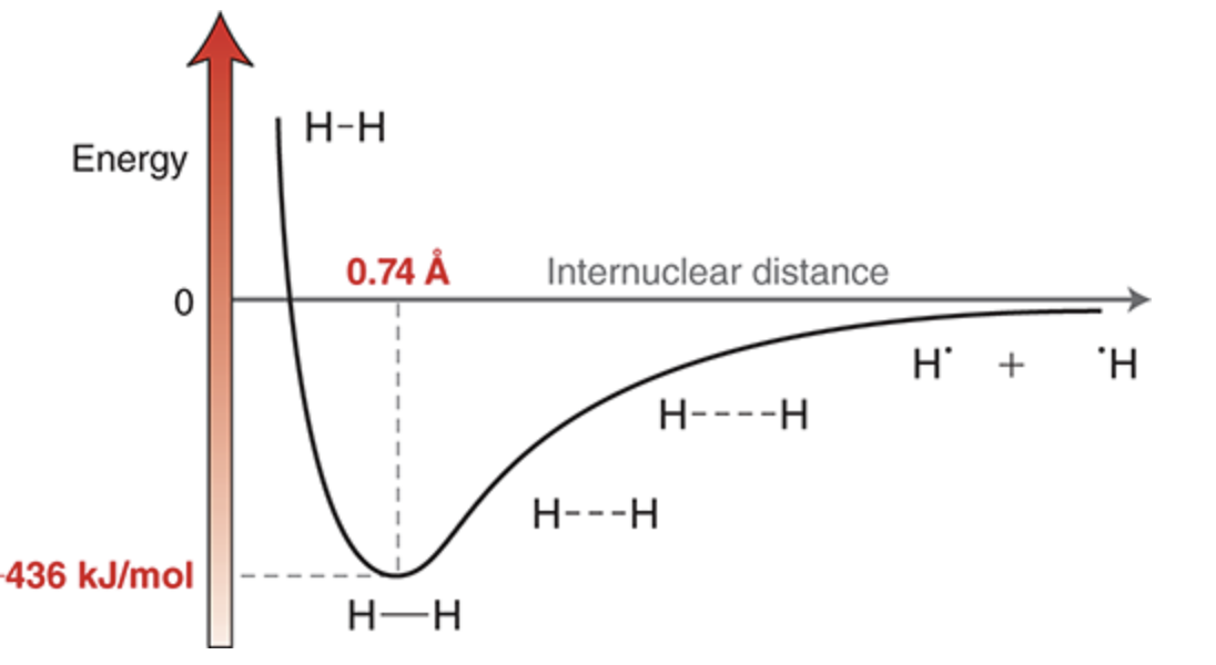 <ul><li><p>Moving toward the left on the diagram, the hydrogen atoms approach each other, and there are several forces that must be taken into account: (1) the force of repulsion between the two negatively charged electrons, (2) the force of repulsion between the two positively charged nuclei, and (3) the forces of attraction between the positively charged nuclei and the negatively charged electrons.</p></li><li><p>This provides for a net force of attraction, which lowers the energy of the system. As the hydrogen atoms move still closer together, the energy continues to be lowered until the nuclei achieve a separation (internuclear distance) of 0.74 angstroms (Å).&nbsp;</p></li><li><p>At that point, the force of repulsion between the nuclei begins to overwhelm the forces of attraction, causing the energy of the system to increase if the atoms are brought any closer together. The lowest point on the curve represents the lowest energy (most stable) state. This state determines both the bond length (0.74 Å) and the bond strength (436 kJ/mol)</p></li></ul>